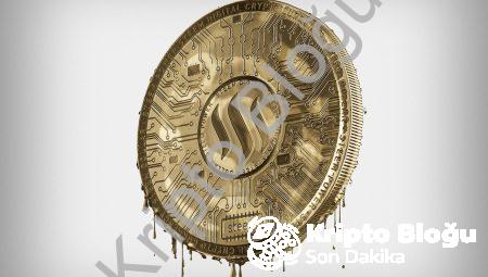 Kripto Para Ayı Sezonu