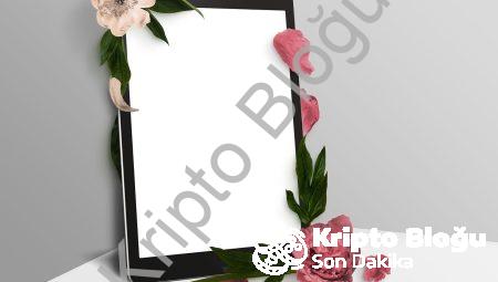 Instagram Analizi