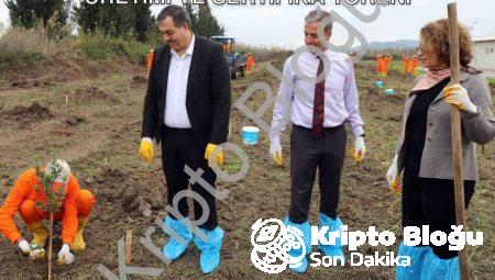 Dalaman Açık Cezaevi’nde Sakız Ağacı Üretimi ve Sertifika Töreni