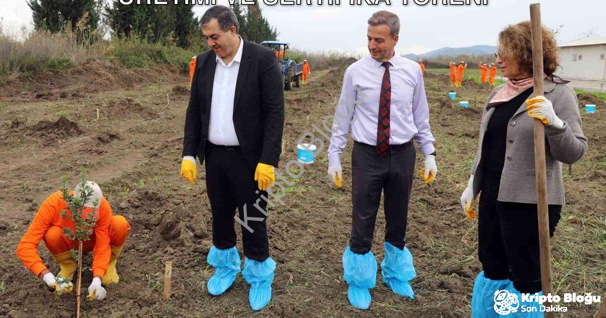 "Dalaman Açık Cezaevi'nde Sakız Ağacı Üretimi ve Sertifika Töreni" başlıklı haber için fotorealistik