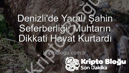 Denizli’de Yaralı Şahin Seferberliği: Muhtarın Dikkati Hayat Kurtardı