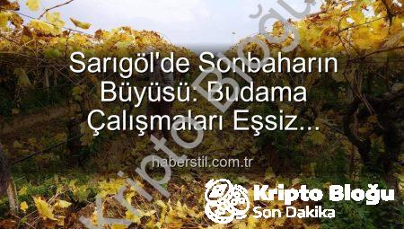 Manisa Sarıgöl’de Sonbaharın Büyüsü: Üzüm Bağlarında Budama Mevsimi ve Ekonomik Gelişmeler