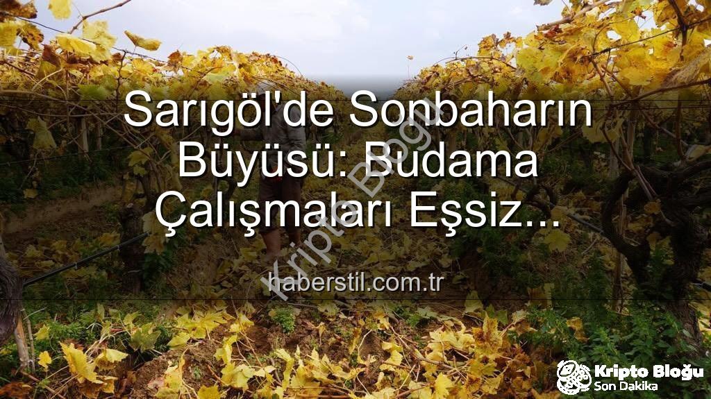 Sarıgöl'de budama - Manisa Sarıgöl'de Sonbaharın Büyüsü: Üzüm Bağlarında Budama Mevsimi ve Ekonomik Gelişmeler