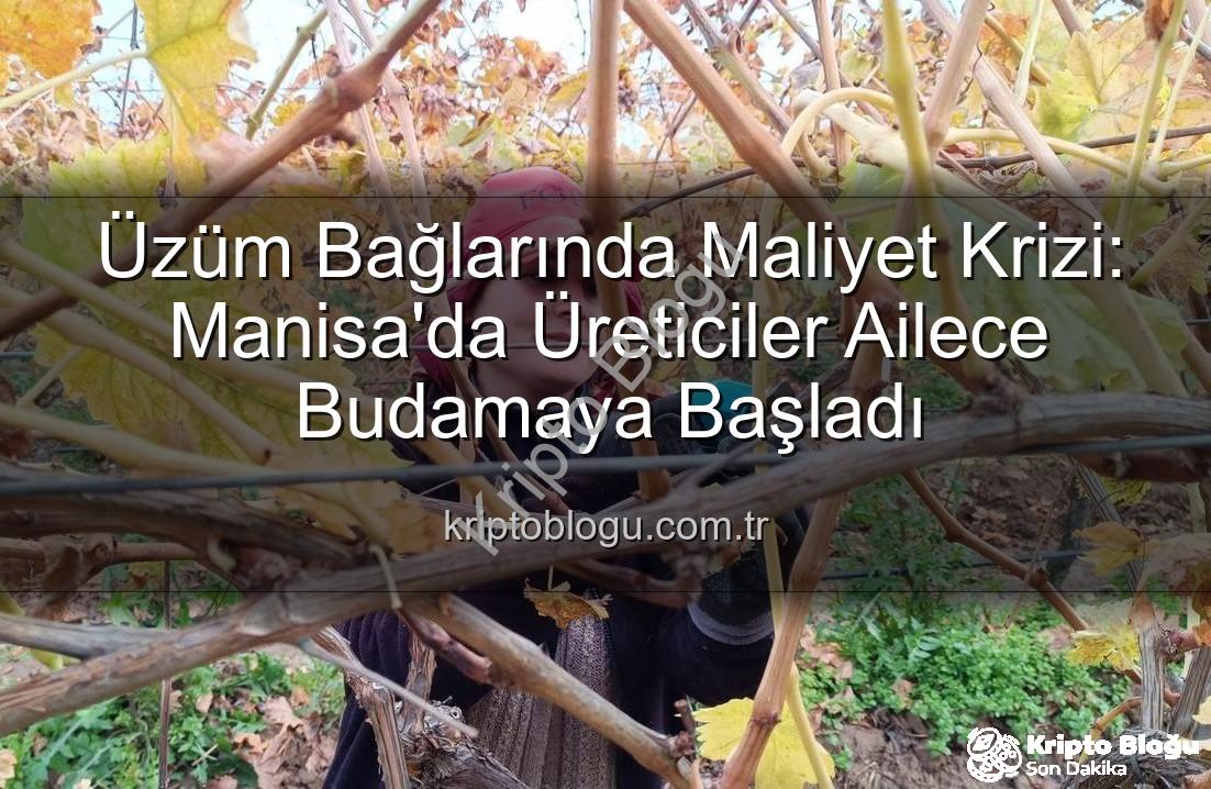üzüm budama maliyeti - Üzüm Bağlarında Maliyet Krizi: Manisa'da Üreticiler Ailece Budamaya Başladı