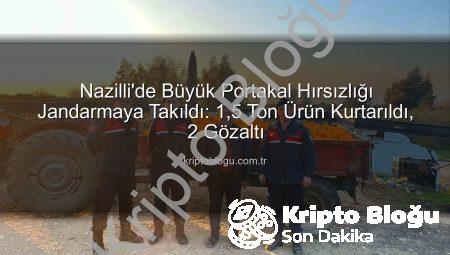 Nazilli’de Büyük Portakal Hırsızlığı Jandarmaya Takıldı: 1,5 Ton Ürün Kurtarıldı, 2 Gözaltı