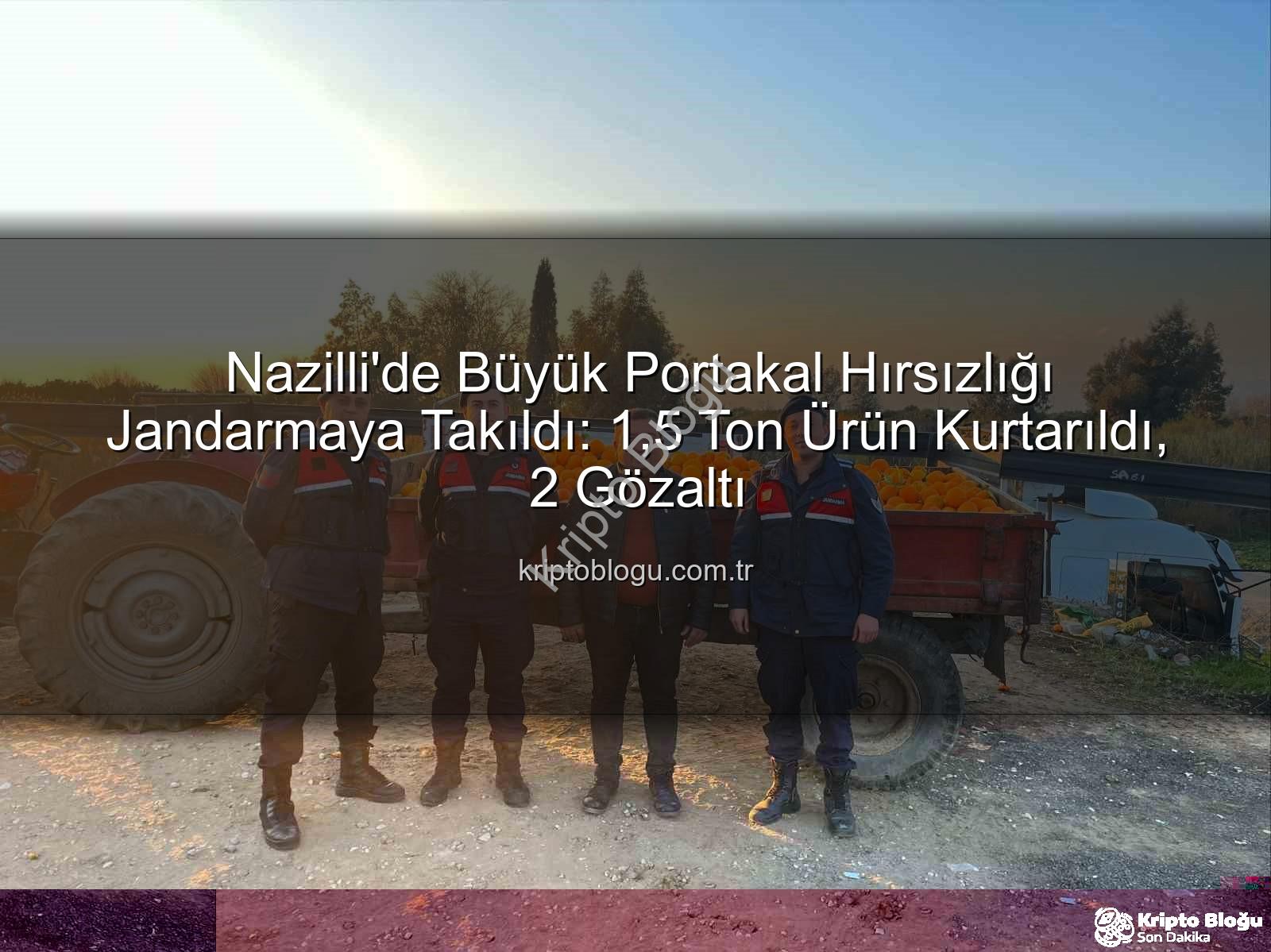 portakal hırsızlığı - Nazilli'de Büyük Portakal Hırsızlığı Jandarmaya Takıldı: 1,5 Ton Ürün Kurtarıldı, 2 Gözaltı