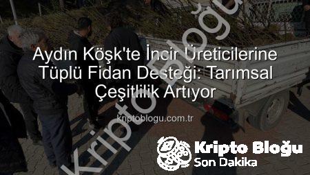 Aydın Köşk’te İncir Üreticilerine Tüplü Fidan Desteği: Tarımsal Çeşitlilik Artıyor