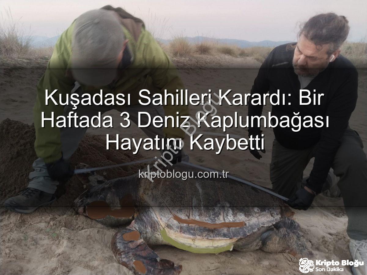 deniz kaplumbağası - Kuşadası Sahilleri Karardı: Bir Haftada 3 Deniz Kaplumbağası Hayatını Kaybetti