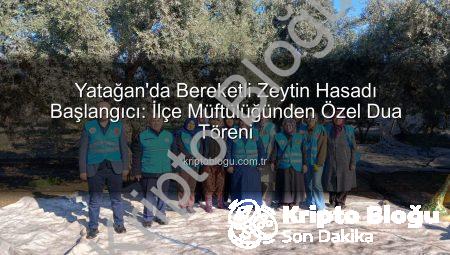 Yatağan’da Bereketli Zeytin Hasadı Başlangıcı: İlçe Müftülüğünden Özel Dua Töreni