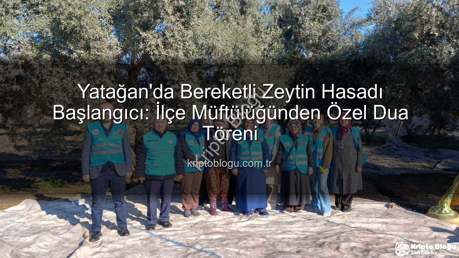Yatağan zeytin hasadı - Yatağan'da Bereketli Zeytin Hasadı Başlangıcı: İlçe Müftülüğünden Özel Dua Töreni