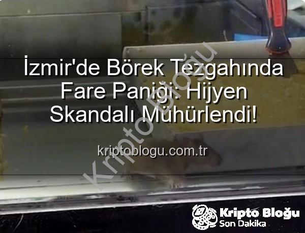 börek tezgahında fare - İzmir'de Börek Tezgahında Fare Paniği: Hijyen Skandalı Mühürlendi!