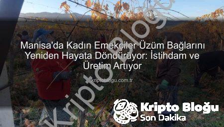 Manisa’da Kadın Emekçiler Üzüm Bağlarını Yeniden Hayata Döndürüyor: İstihdam ve Üretim Artıyor
