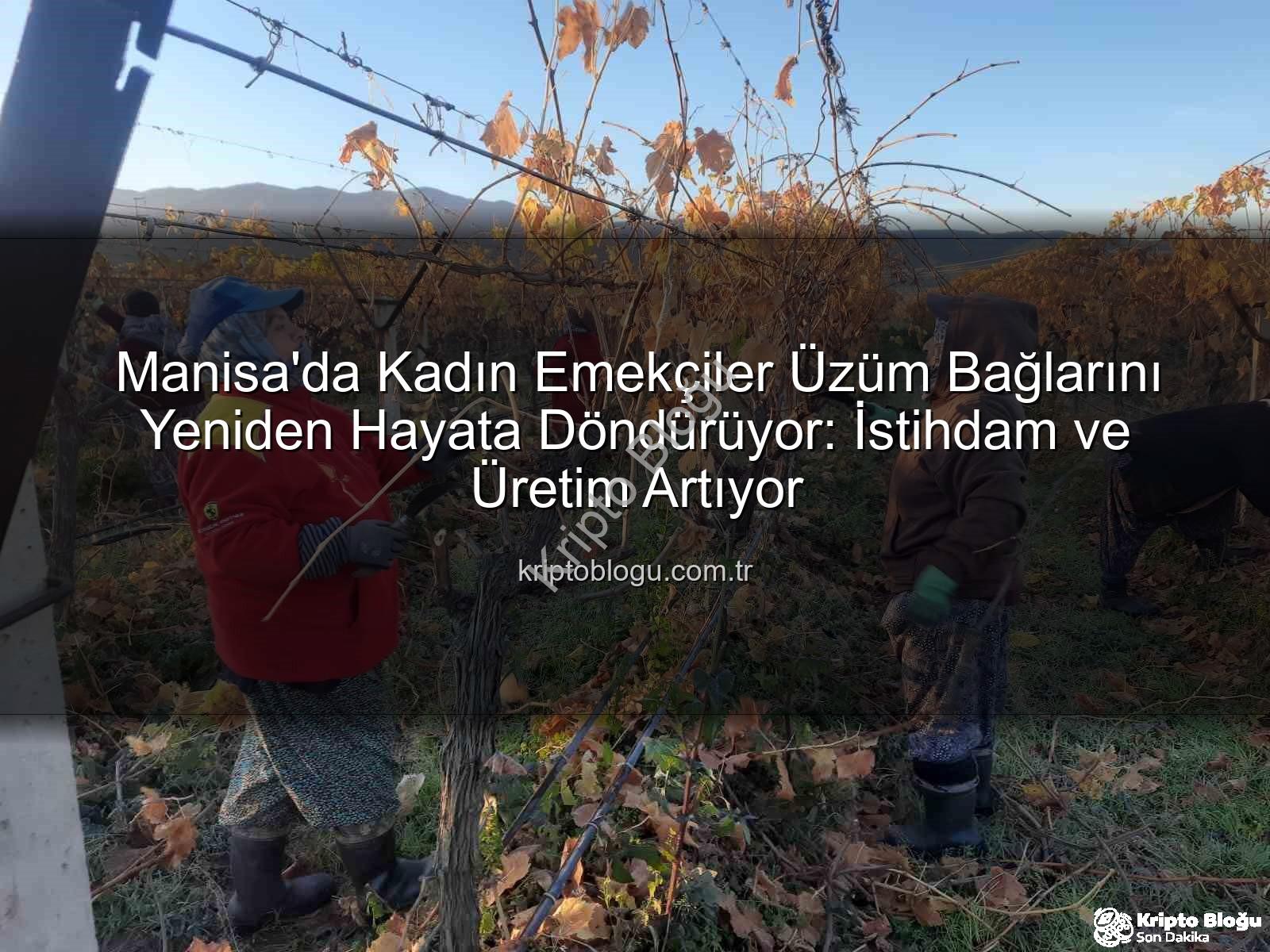 kadın istihdamı - Manisa'da Kadın Emekçiler Üzüm Bağlarını Yeniden Hayata Döndürüyor: İstihdam ve Üretim Artıyor