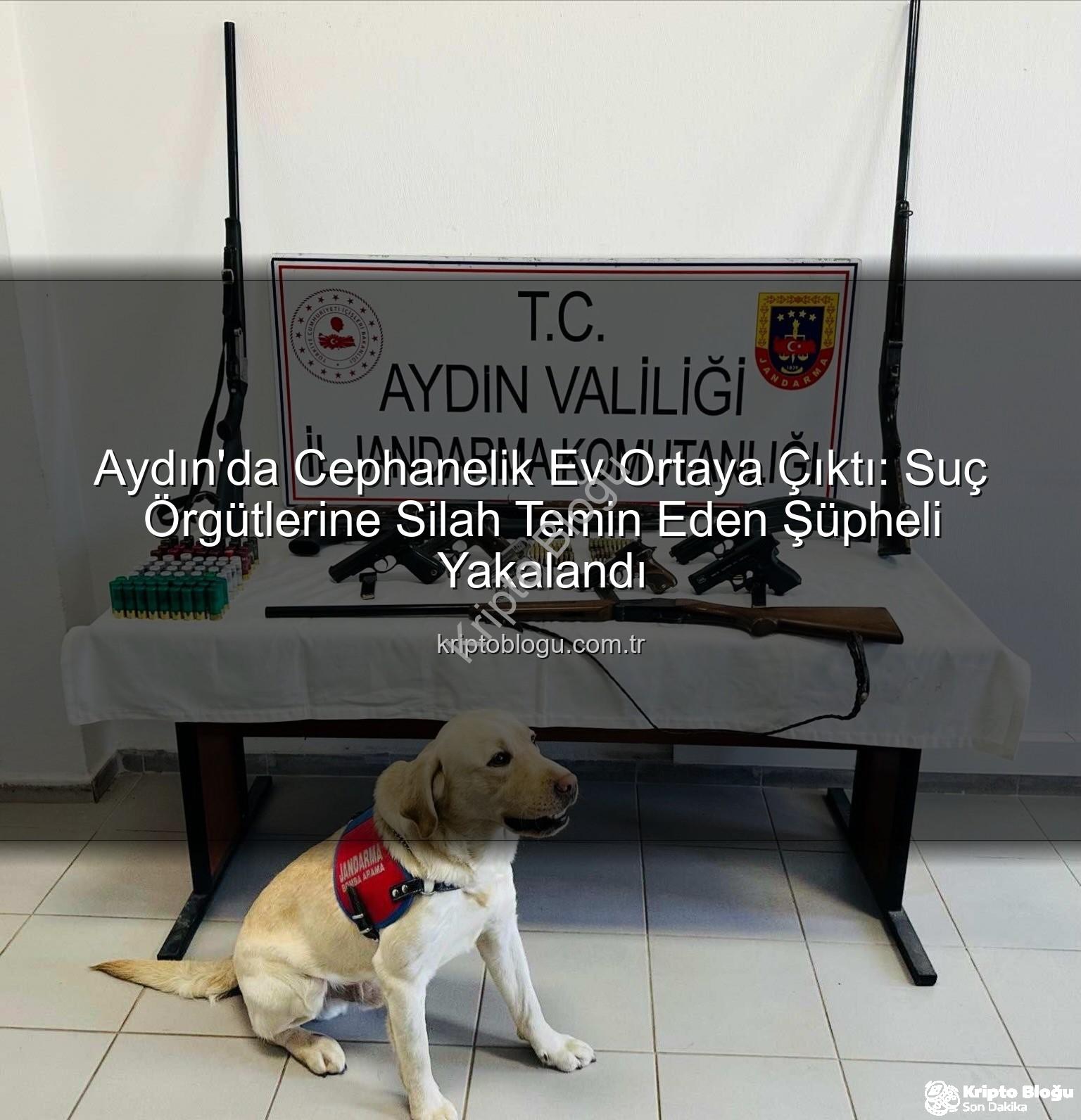 Aydın silah operasyonu - Aydın'da Cephanelik Ev Ortaya Çıktı: Suç Örgütlerine Silah Temin Eden Şüpheli Yakalandı