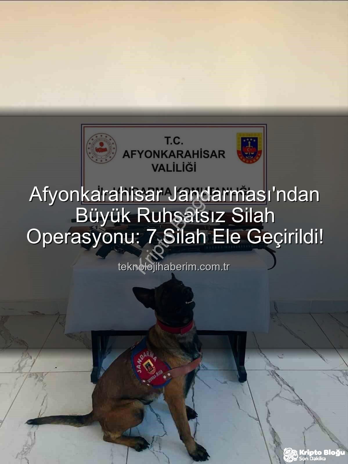 ruhsatsız silah - Afyonkarahisar Jandarması'ndan Nefes Kesen Ruhsatsız Silah Operasyonu: 7 Silah Ele Geçirildi