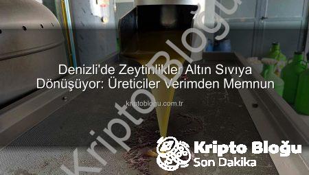 Denizli’de Zeytinlikler Altın Sıvıya Dönüşüyor: Üreticiler Verimden Memnun