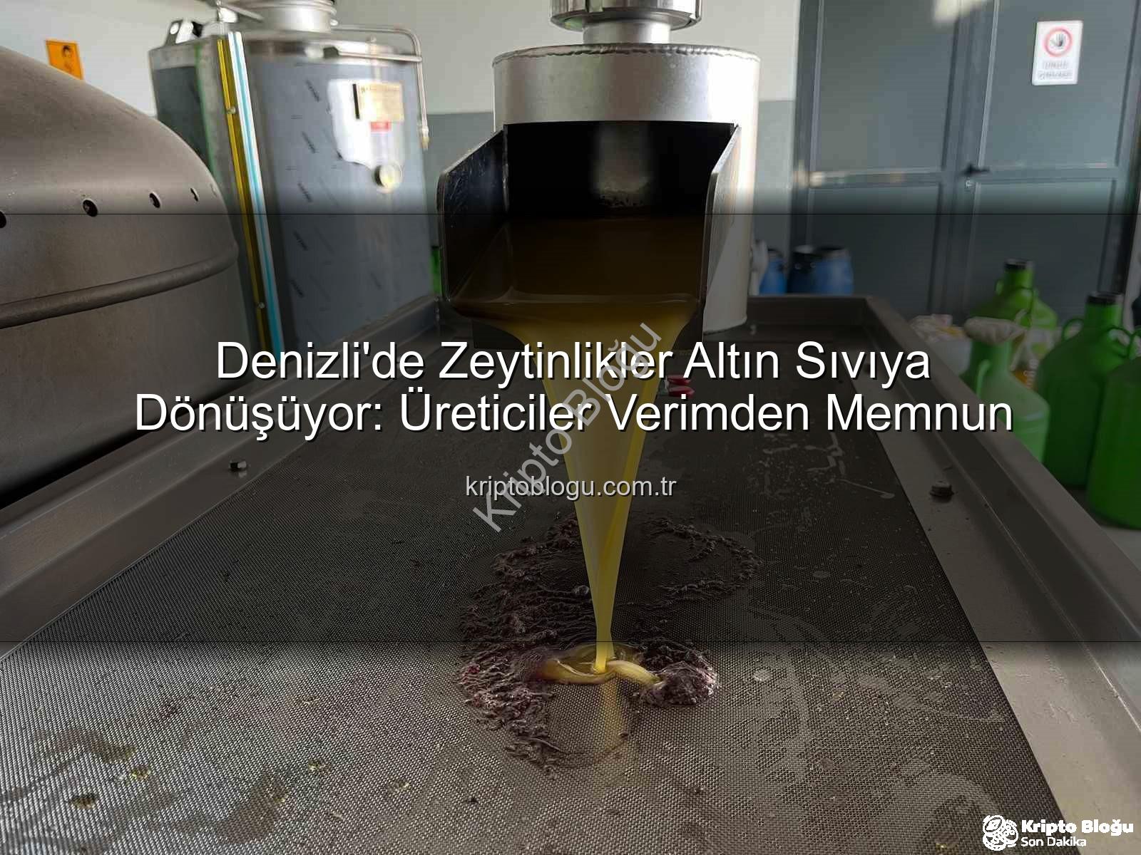 zeytinyağı üretimi - Denizli'de Zeytinlikler Altın Sıvıya Dönüşüyor: Üreticiler Verimden Memnun
