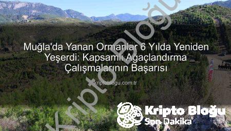 Muğla’da Yanan Ormanlar 6 Yılda Yeniden Yeşerdi: Kapsamlı Ağaçlandırma Çalışmalarının Başarısı