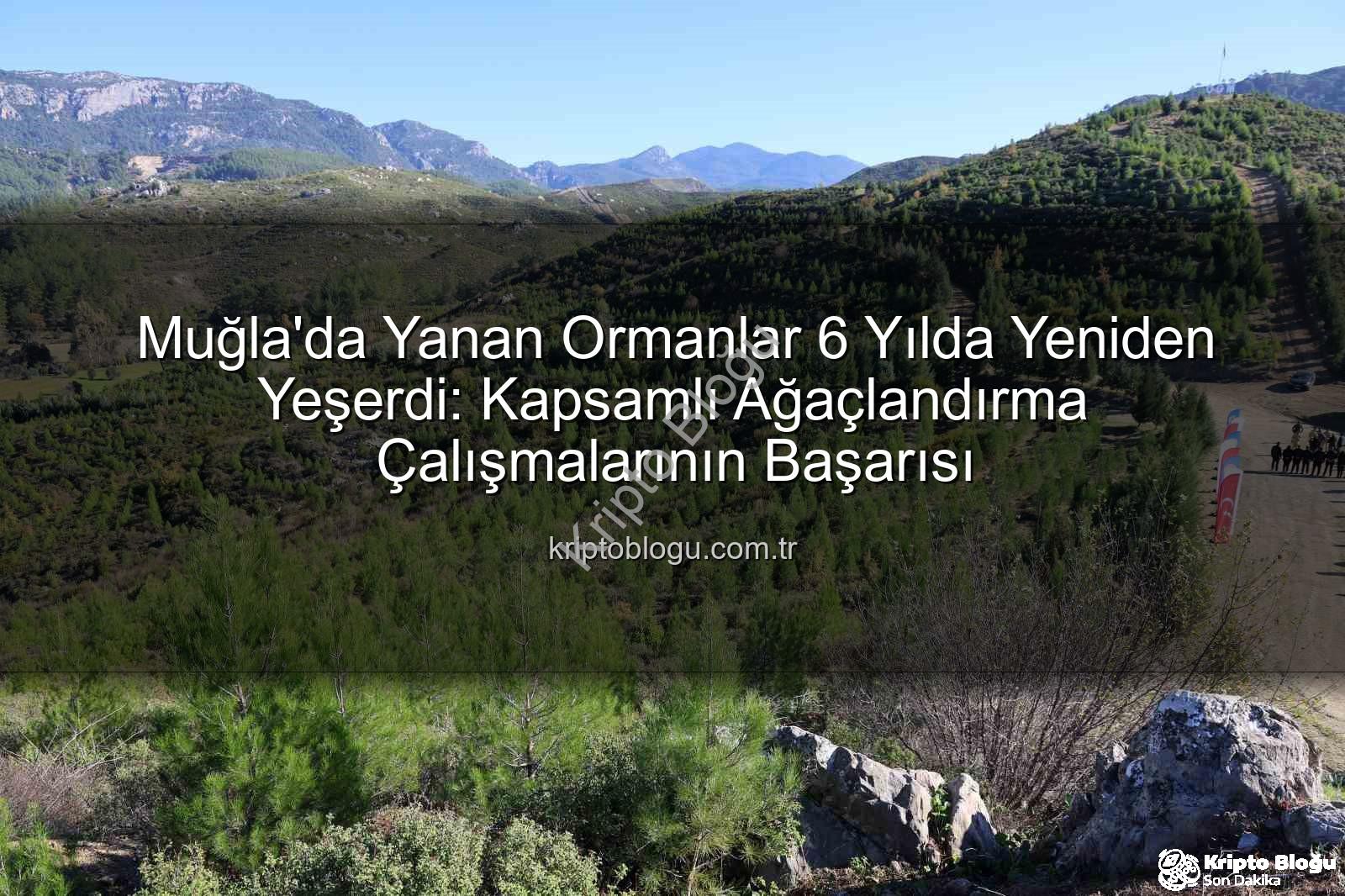 ağaçlandırma çalışmaları - Muğla'da Yanan Ormanlar 6 Yılda Yeniden Yeşerdi: Kapsamlı Ağaçlandırma Çalışmalarının Başarısı