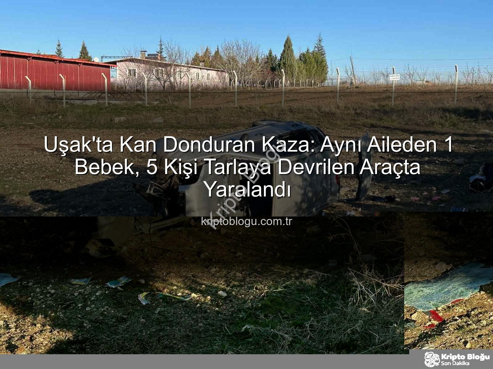 Uşak trafik kazası - Uşak'ta Kan Donduran Kaza: Aynı Aileden 1 Bebek, 5 Kişi Tarlaya Devrilen Araçta Yaralandı
