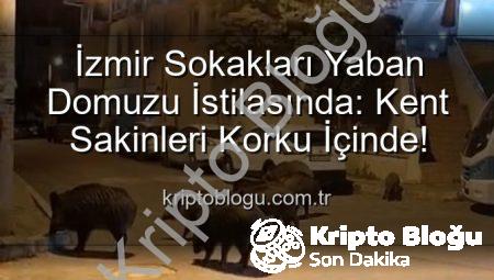 İzmir Sokakları Yaban Domuzu İstilasında: Kent Sakinleri Korku İçinde!